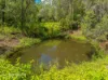 815 Glastonbury Road, Glastonbury, Qld 4570-Image