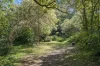 82-84 Narara Valley Drive, Narara, NSW 2250-Image