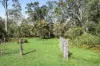 82-94 Hives Road, North Maclean, Qld 4280-Image
