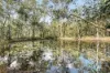82-94 Hives Road, North Maclean, Qld 4280-Image