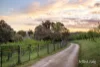 82 Alma Road, Panton Hill, Vic 3759-Image