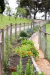 82 Alma Road, Panton Hill, Vic 3759-Image
