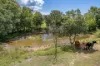 82 Black River Road, Black River, Qld 4818-Image