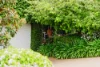 82 Brooklyn Drive, Bourkelands, NSW 2650-Image