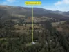 82 Cedarvale Road, Sandy Creek, Qld 4515-Image