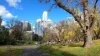 82 Hawke Street, West Melbourne, Vic 3003-Image