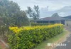 82 Hewett Drive, Regency Downs, Qld 4341-Image