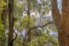 82 Hill Avenue, Burleigh Heads, Qld 4220-Image