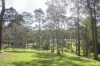 82 Jack Reid Road, Termeil, NSW 2539-Image