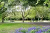 82 Lewisham Road North, Prahran, Vic 3181-Image