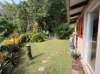82 Spring Creek Road, Mowbray, Qld 4877-Image