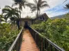 82 Spring Creek Road, Mowbray, Qld 4877-Image