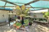 82 Sutton Street, Cootamundra, NSW 2590-Image