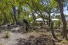 82 York Gum Drive, Chittering, WA 6084-Image
