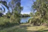 824 Mackay-Eungella Road, Pleystowe, Qld 4741-Image