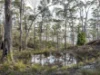 826 Gellibrand Drive, Sandford, Tas 7020-Image