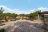 82A Targo Road, Girraween, NSW 2145-Image