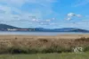 83 Bay View Drive, Little Grove, WA 6330-Image