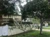 83 Bridgewater St, Morningside, Qld 4170-Image