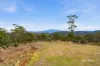 83 Canopus Road, Mount Rumney, Tas 7170-Image