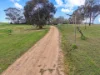 83 Donges Road, Young, NSW 2594-Image
