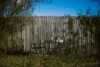 83 George Street, Marulan, NSW 2579-Image