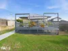 83 Giblin Street, Lenah Valley, Tas 7008-Image