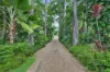 83 Gibraltar Road, Rangewood, Qld 4817-Image