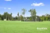 83 Oakview Street, Parkinson QLD 4115-Image