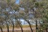 83 Pacific Boulevard, Buddina QLD 4575-Image