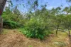83 Shirlow Avenue, Faulconbridge, NSW 2776-Image