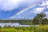 83 Terranora Road, Banora Point, NSW 2486