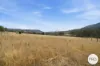 83 Winstead Road, Bagdad, Tas 7030-Image