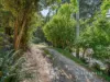 831 Huon Road, Fern Tree, Tas 7054-Image