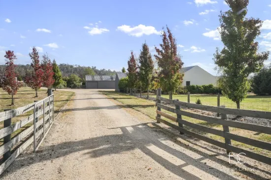 832 Hobart Road, Breadalbane, Tas 7258