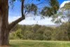837 Delicia Road, Mapleton, Qld 4560-Image