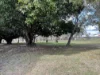 839 Blunder Road, Doolandella, Qld 4077-Image