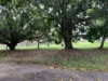 839 Blunder Road, Doolandella, Qld 4077-Image
