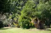 84-86 Bartle Road, Tamborine Mountain, Qld 4272-Image