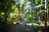 84-86 Bartle Road, Tamborine Mountain, Qld 4272-Image