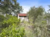 84 Anderson Street, Euroa, Vic 3666-Image