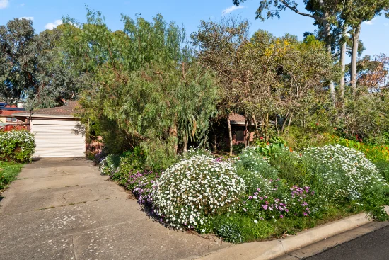 84 Broadmeadow Drive, Flagstaff Hill, SA 5159