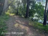 84 Broadwater Esplanade, Bilambil Heights, NSW 2486-Image