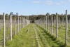 84 Carlsruhe Central Road, Kyneton, Vic 3444-Image