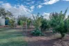 84 Comley Road, Barmera, SA 5345-Image