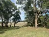 84 Duckholes Road, Romsey, Vic 3434-Image