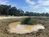 84 Duckholes Road, Romsey, Vic 3434-Image