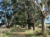 84 Duckholes Road, Romsey, Vic 3434-Image