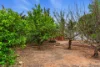 84 Duncan Street, Whyalla Playford, SA 5600-Image