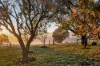 84 Fordes Lane, Kyneton, Vic 3444-Image
